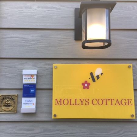 Mollys Cottage-The Suite On Vancouver Island Near Yyj Airport And The Wa And Bc Ferries North Saanich エクステリア 写真